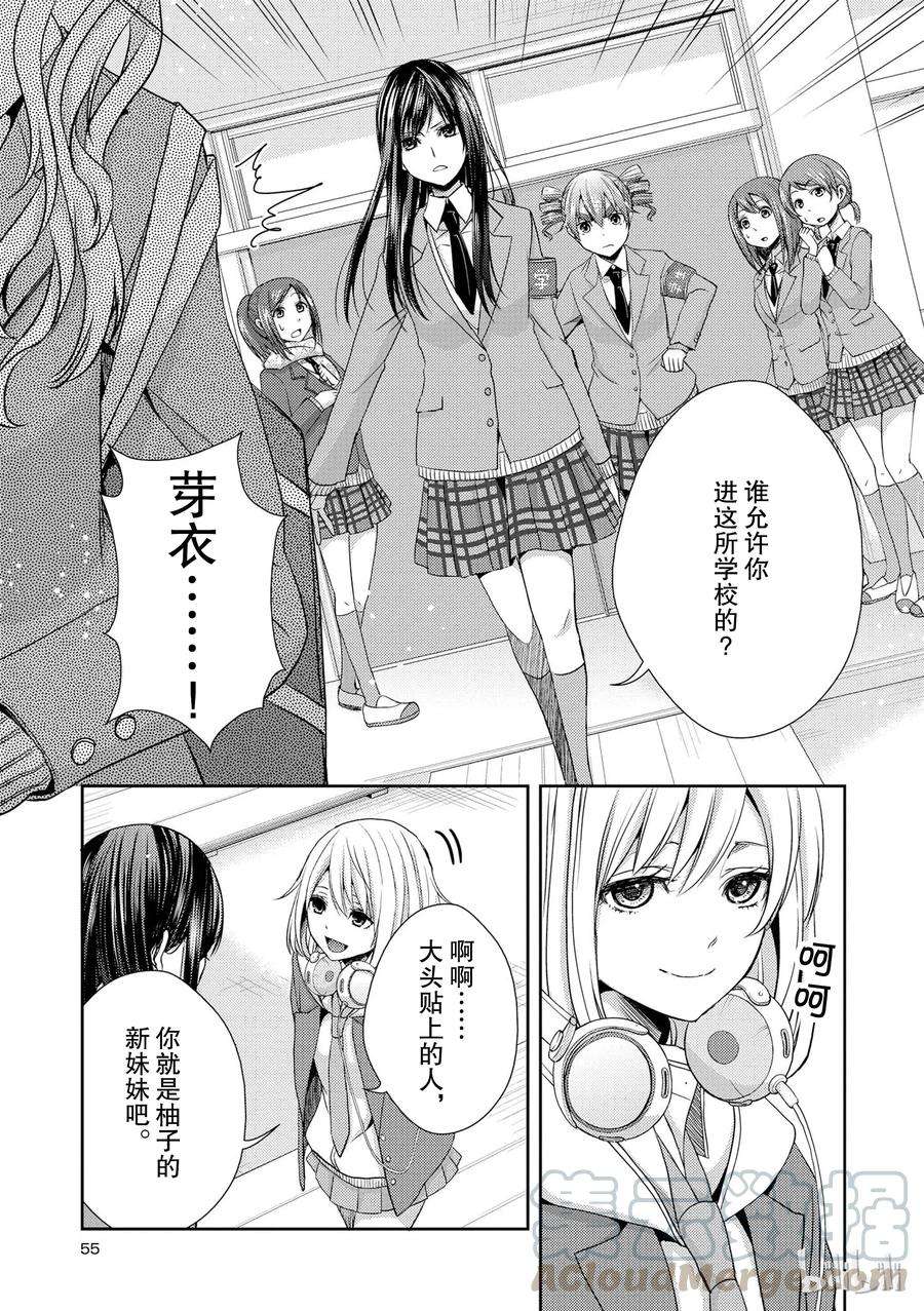 citrus 柑橘味香气10