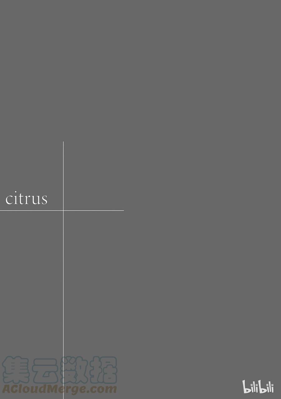 citrus 柑橘味香气10