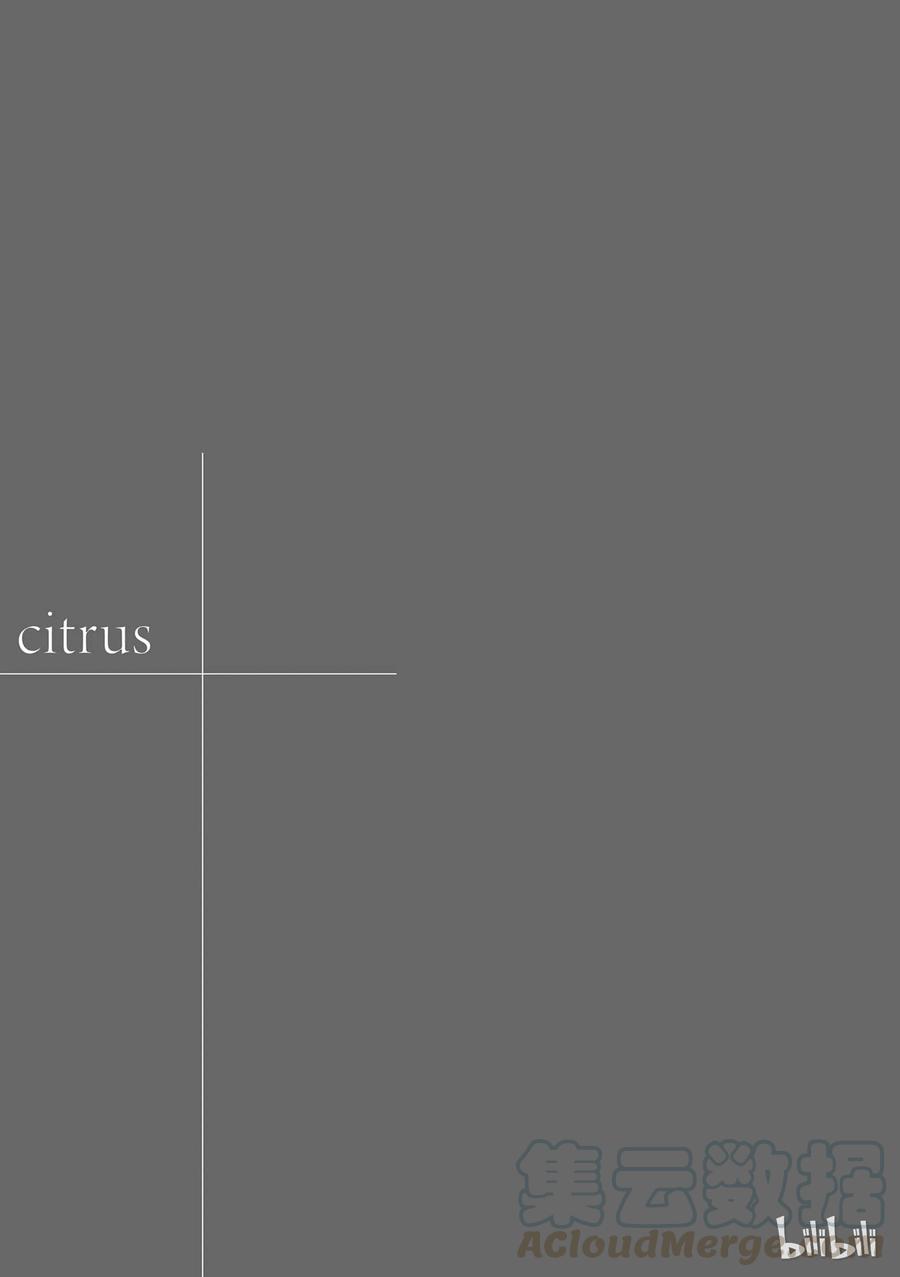citrus 柑橘味香气11