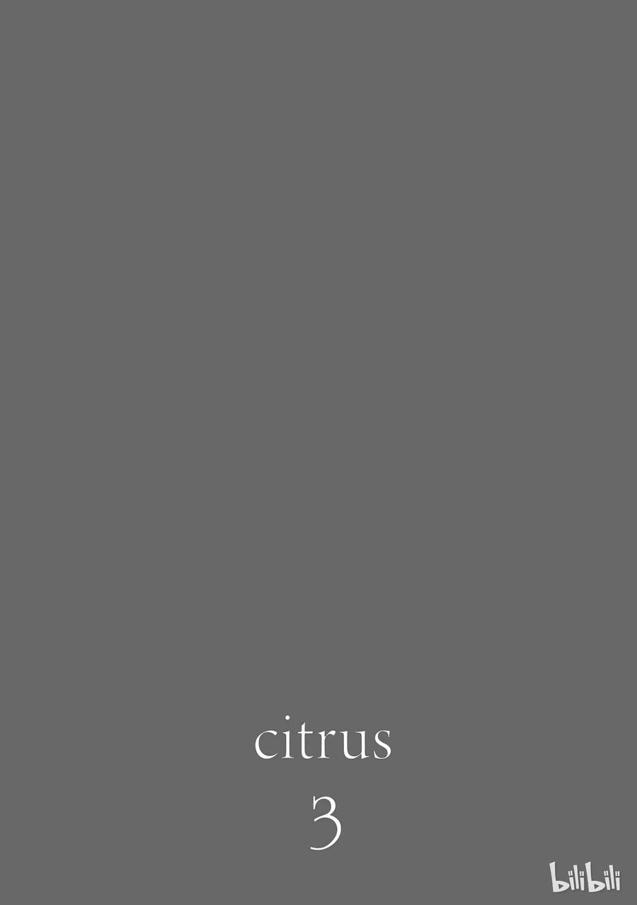 citrus 柑橘味香气11