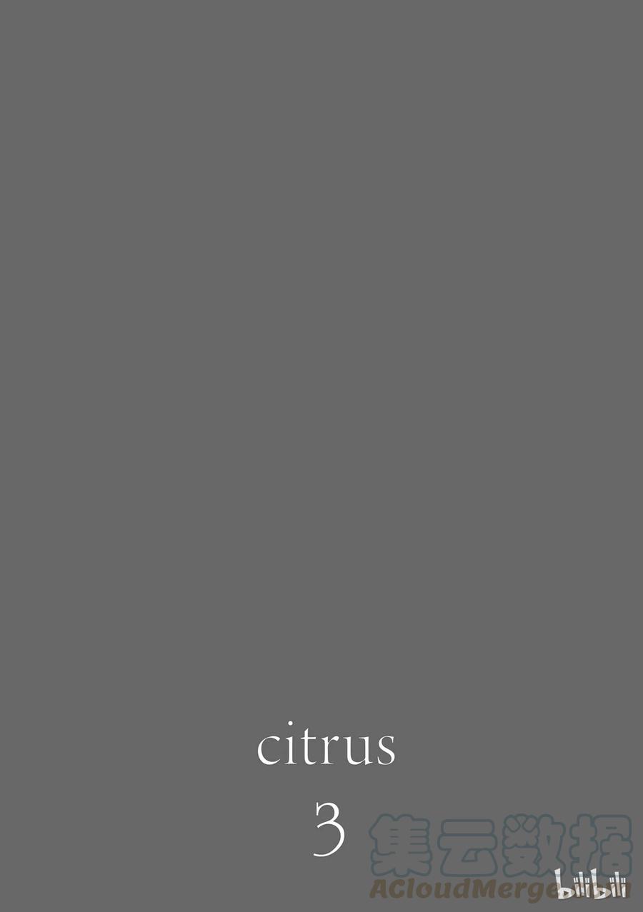 citrus 柑橘味香气12
