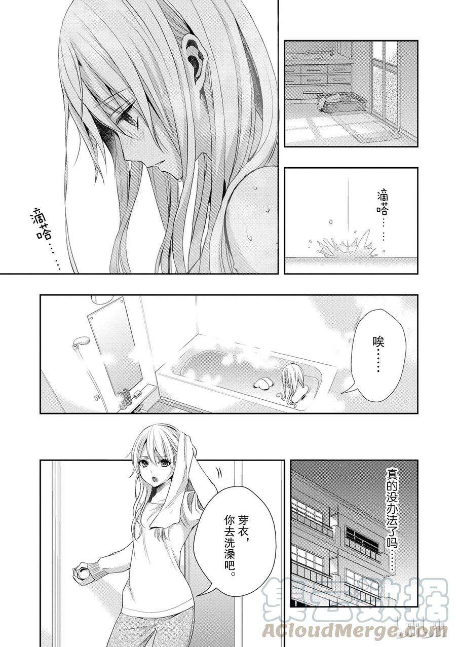 citrus 柑橘味香气12