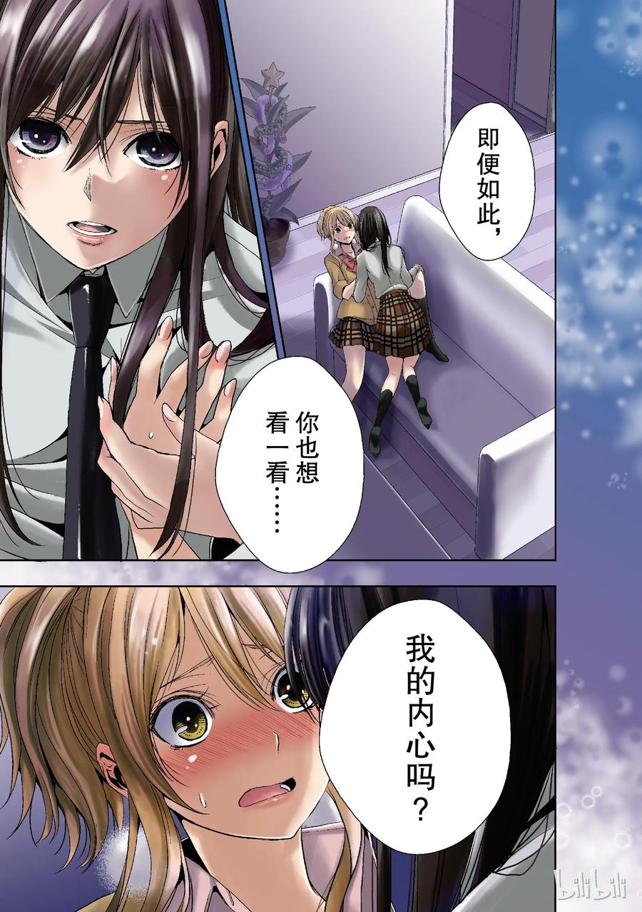 citrus 柑橘味香气13 winter of love