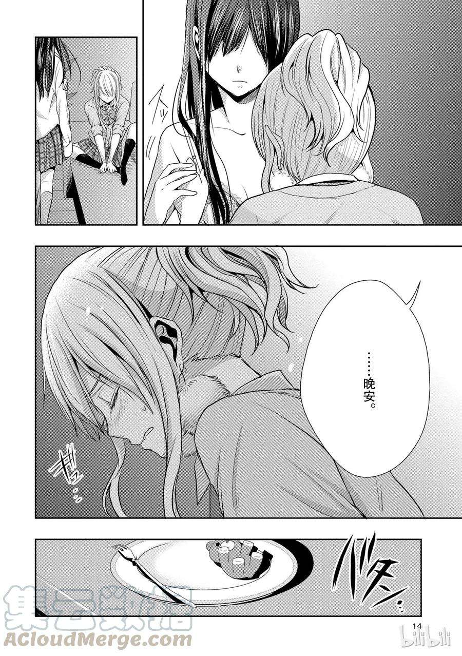 citrus 柑橘味香气13 winter of love