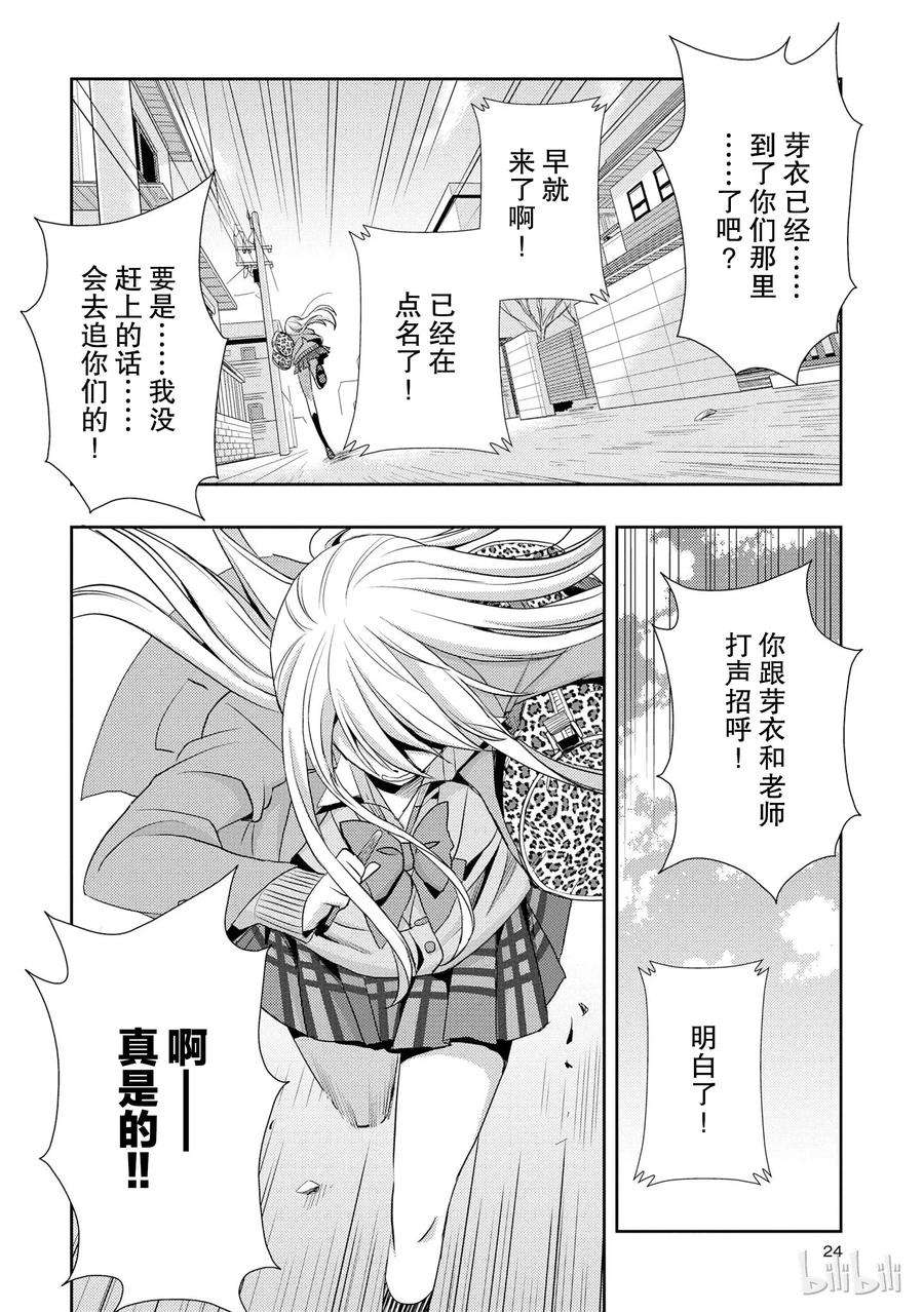 citrus 柑橘味香气13 winter of love
