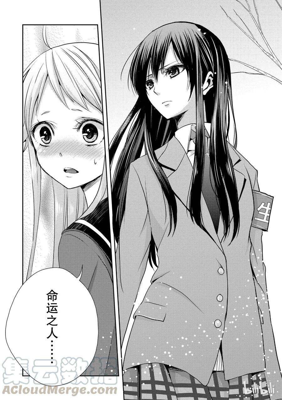 citrus 柑橘味香气13 winter of love