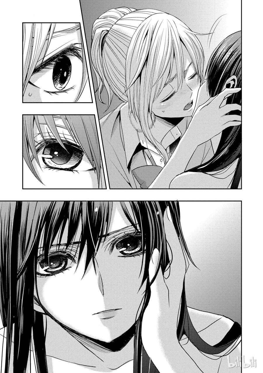 citrus 柑橘味香气13 winter of love