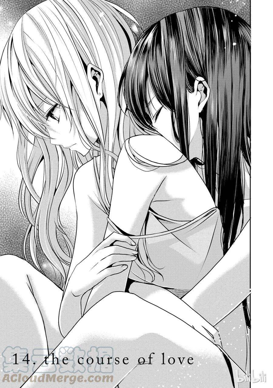 citrus 柑橘味香气14 the course of love