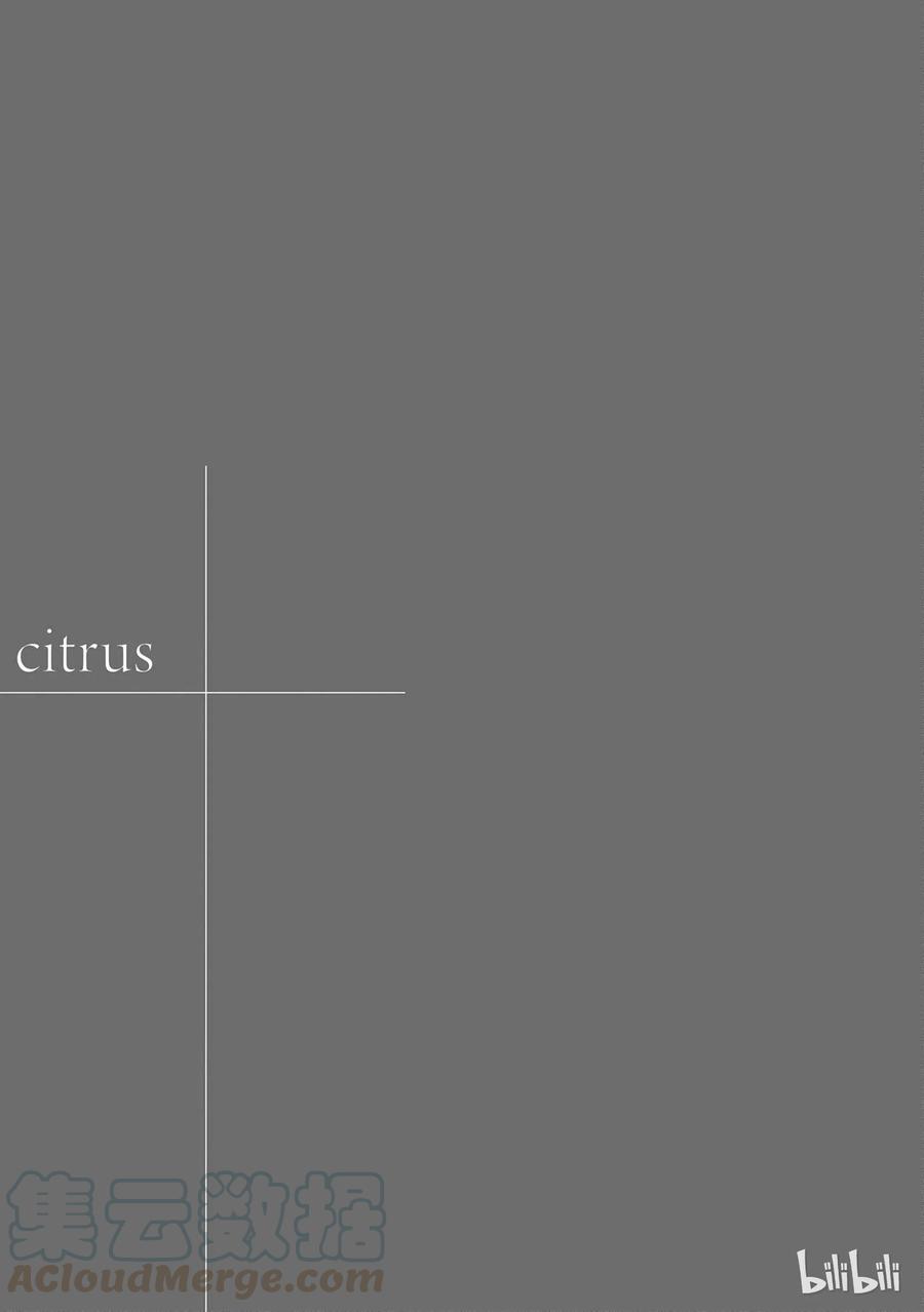 citrus 柑橘味香气14 the course of love