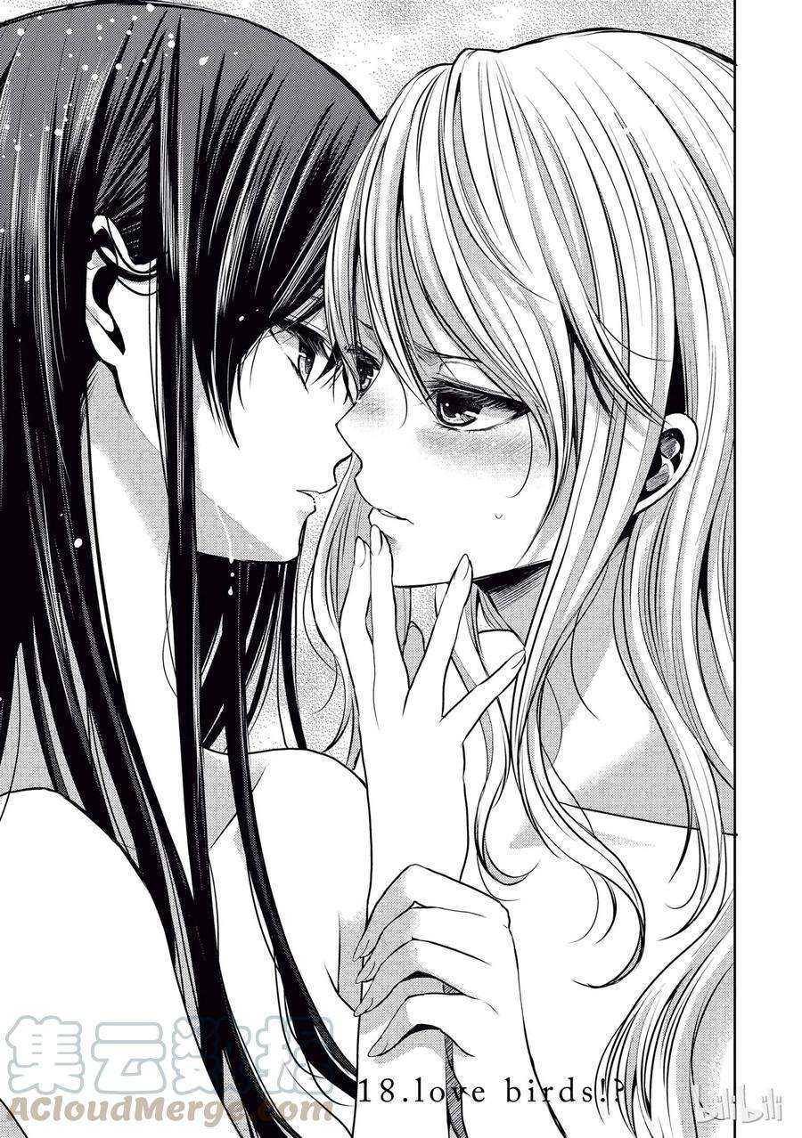 citrus 柑橘味香气18 love birds！？