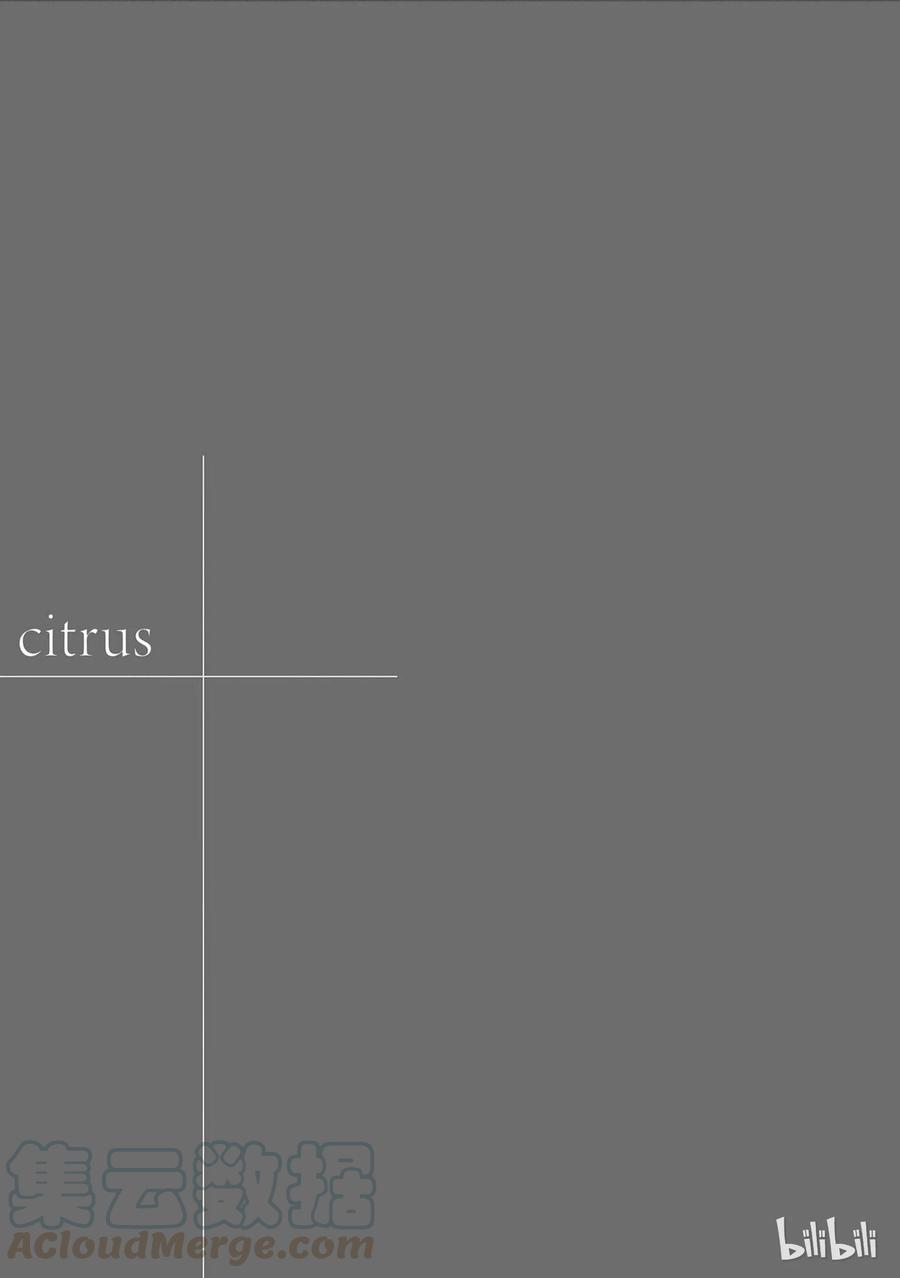 citrus 柑橘味香气18 love birds！？