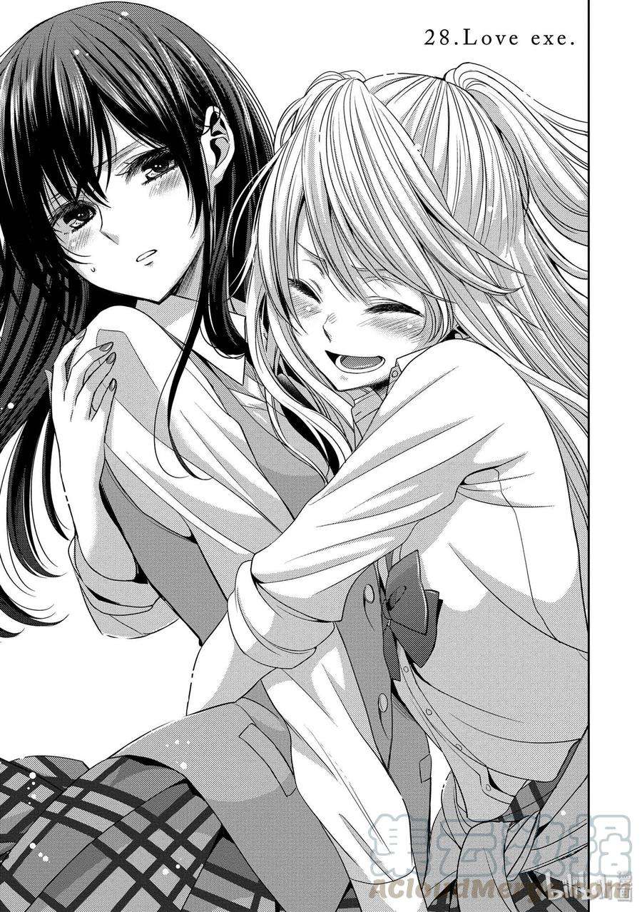 citrus 柑橘味香气28 love exe