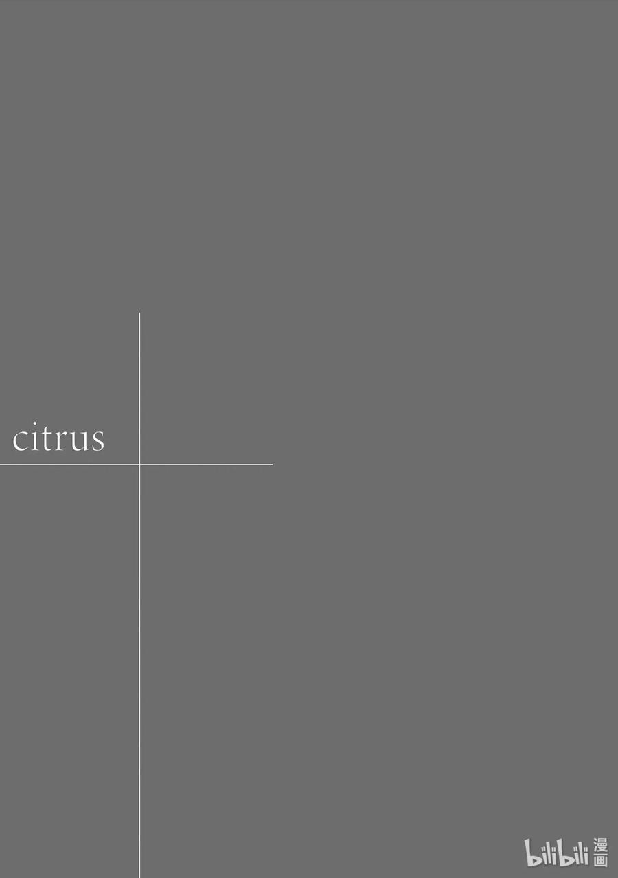 citrus 柑橘味香气29 summer of love