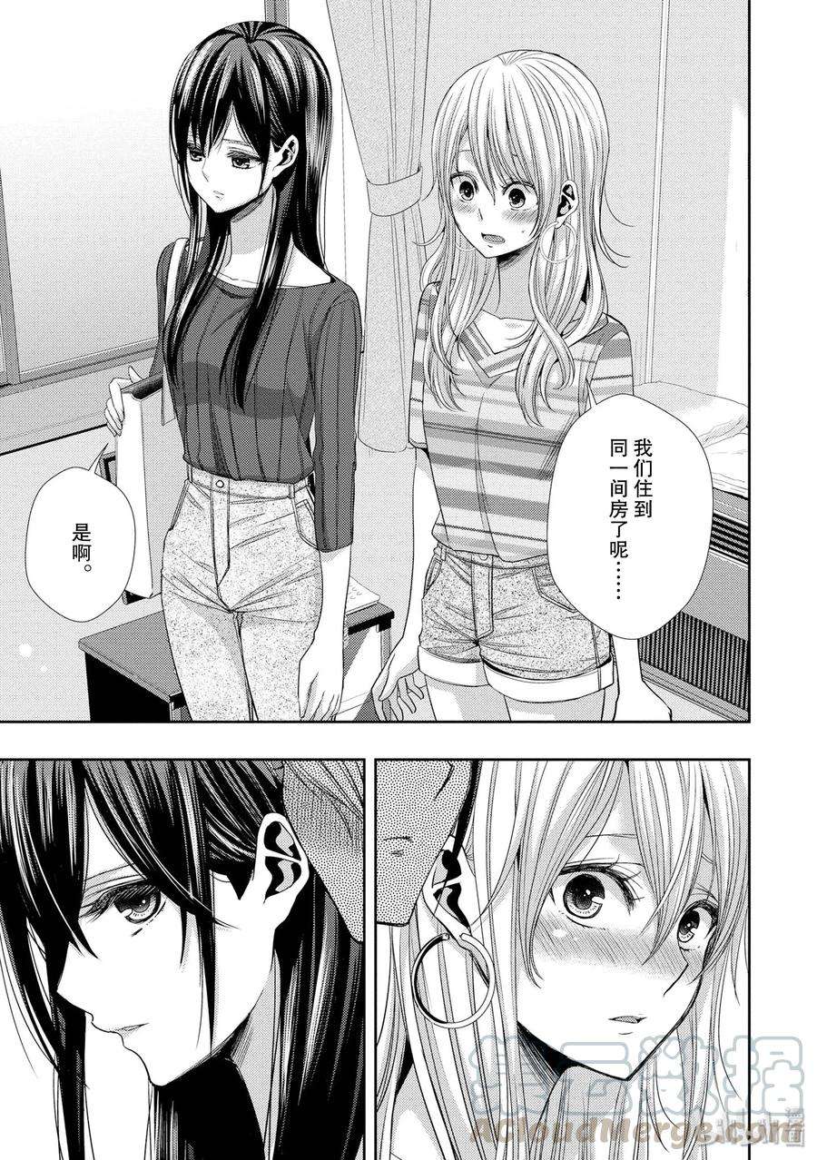 citrus 柑橘味香气31 live to love