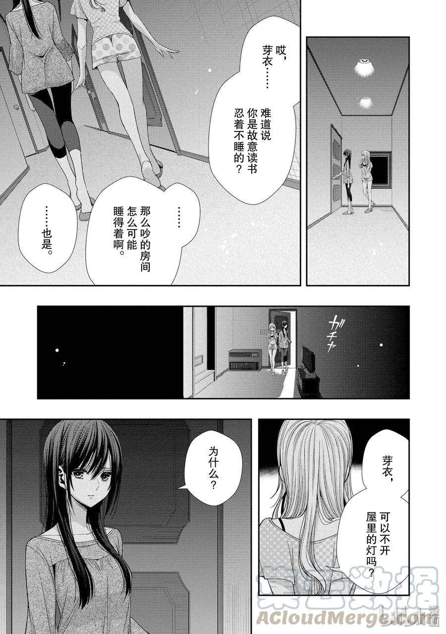 citrus 柑橘味香气32 lovey dovey