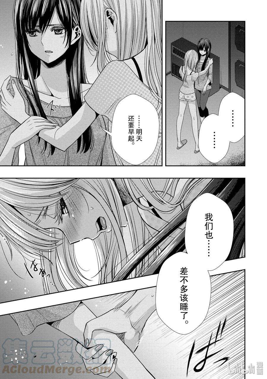 citrus 柑橘味香气32 lovey dovey