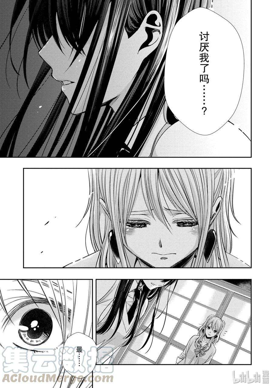 citrus 柑橘味香气41 love forever