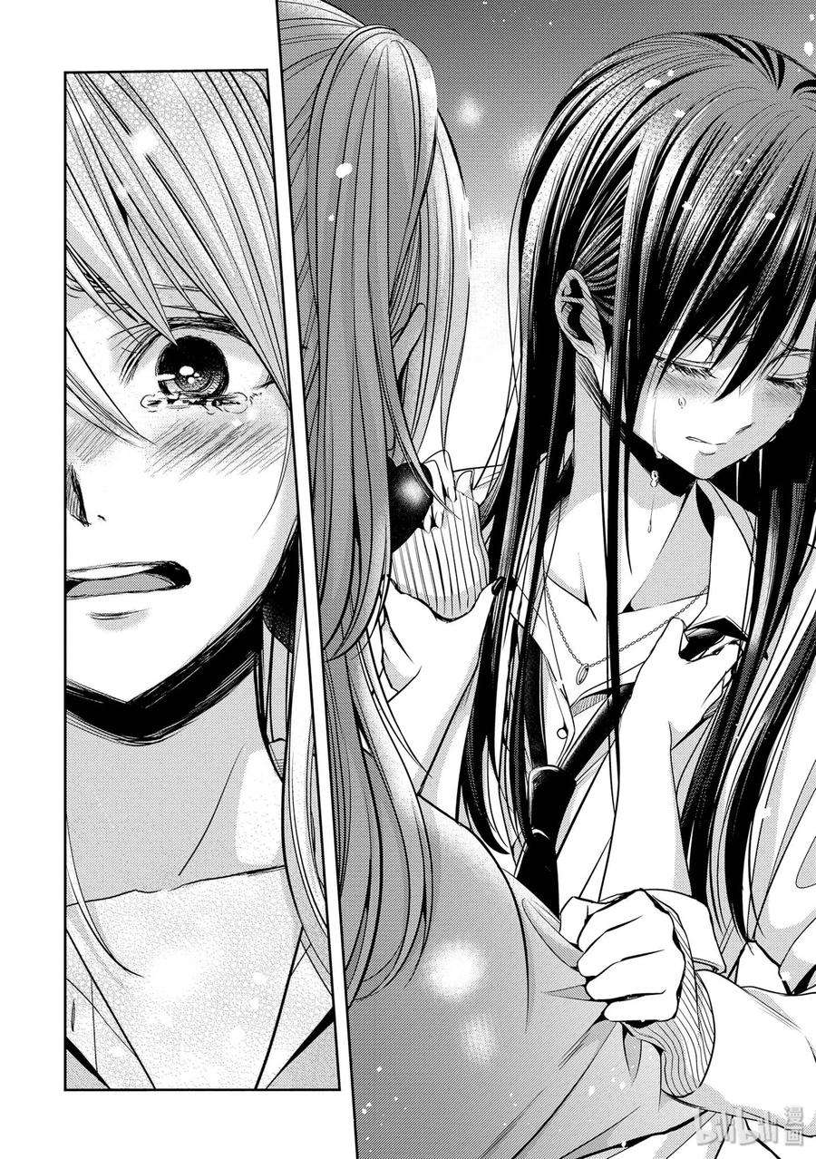 citrus 柑橘味香气41 love forever