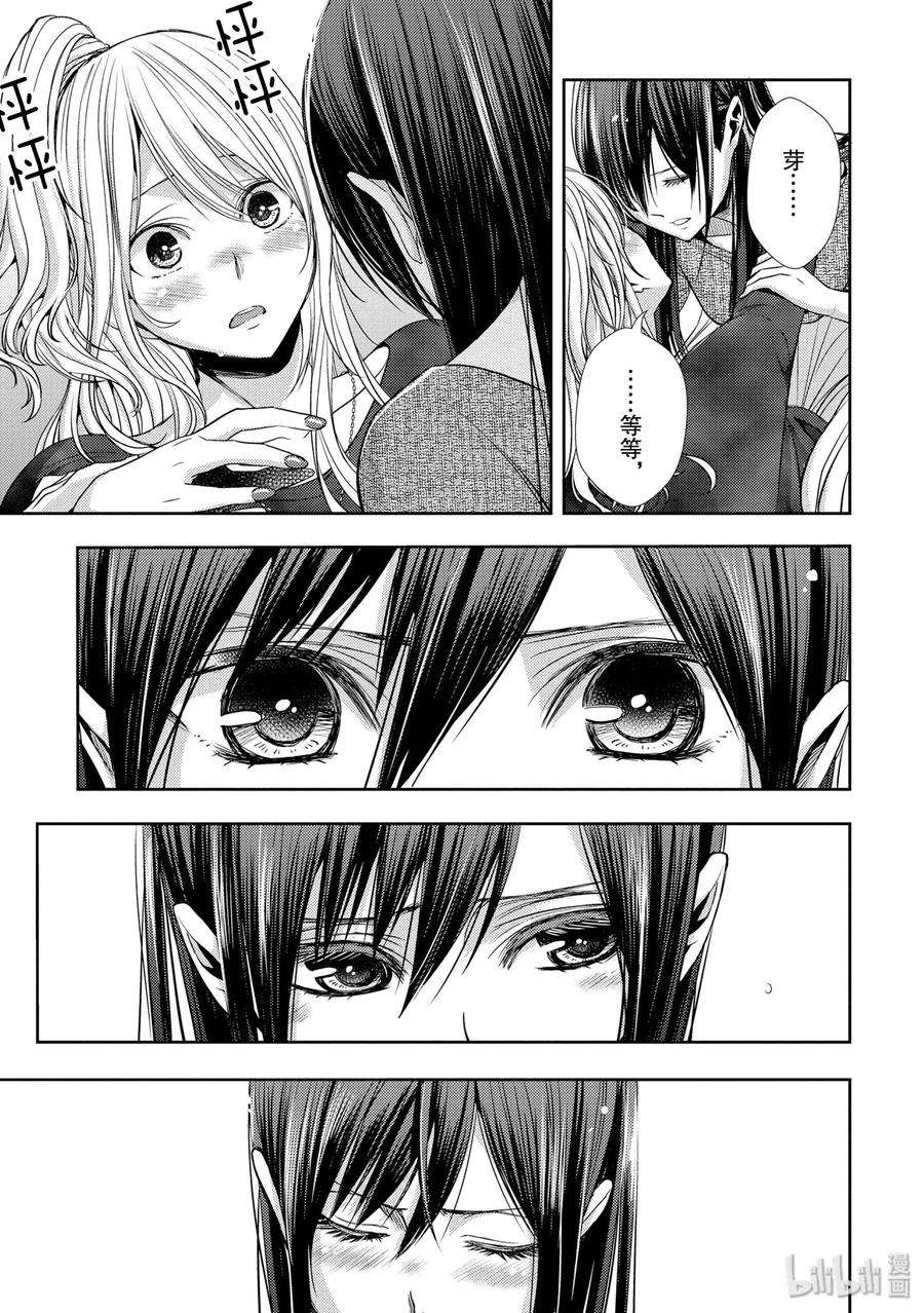 citrus 柑橘味香气41 love forever