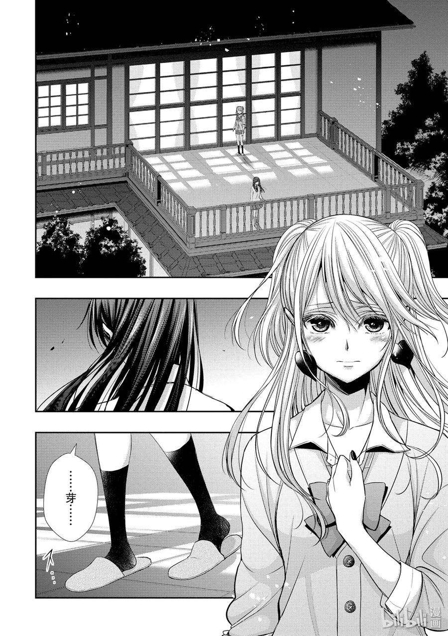 citrus 柑橘味香气41 love forever