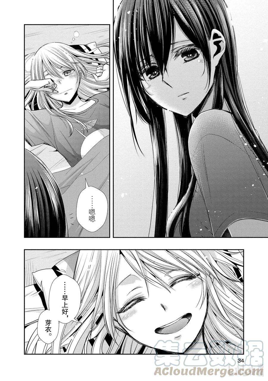 citrus 柑橘味香气Ⅱ-1 5月27日