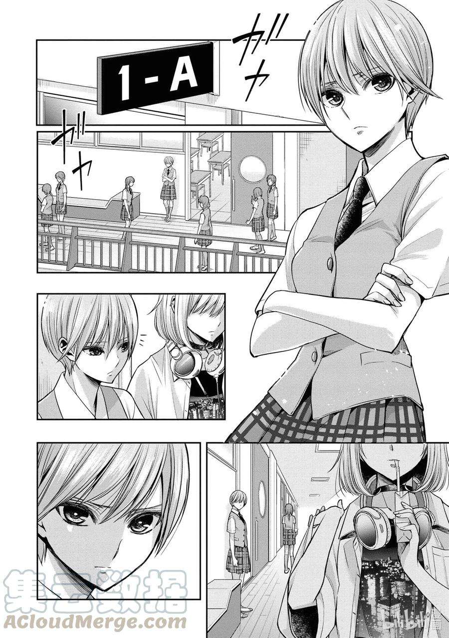 citrus 柑橘味香气Ⅱ-9 6月20日①