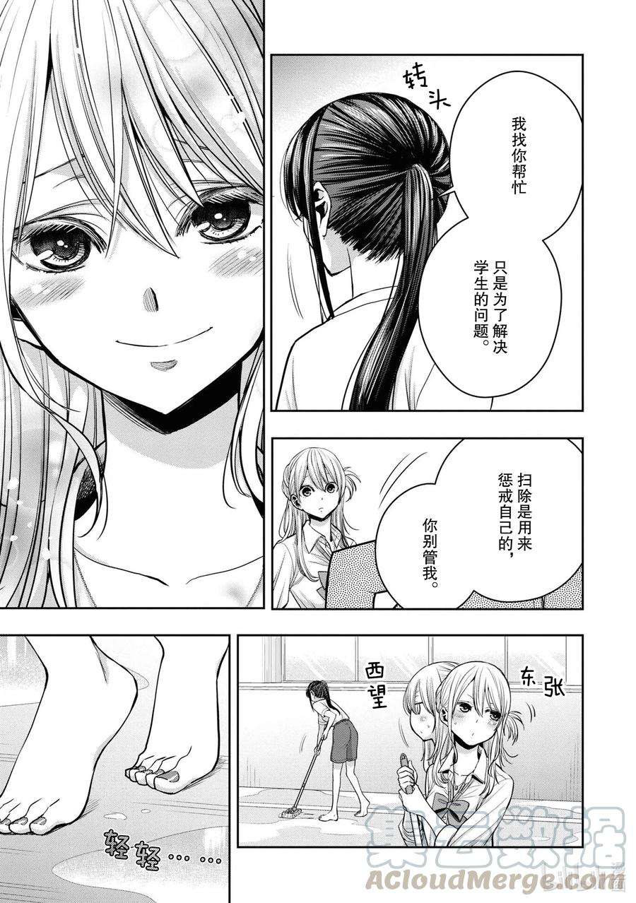 citrus 柑橘味香气Ⅱ-15 6月29日