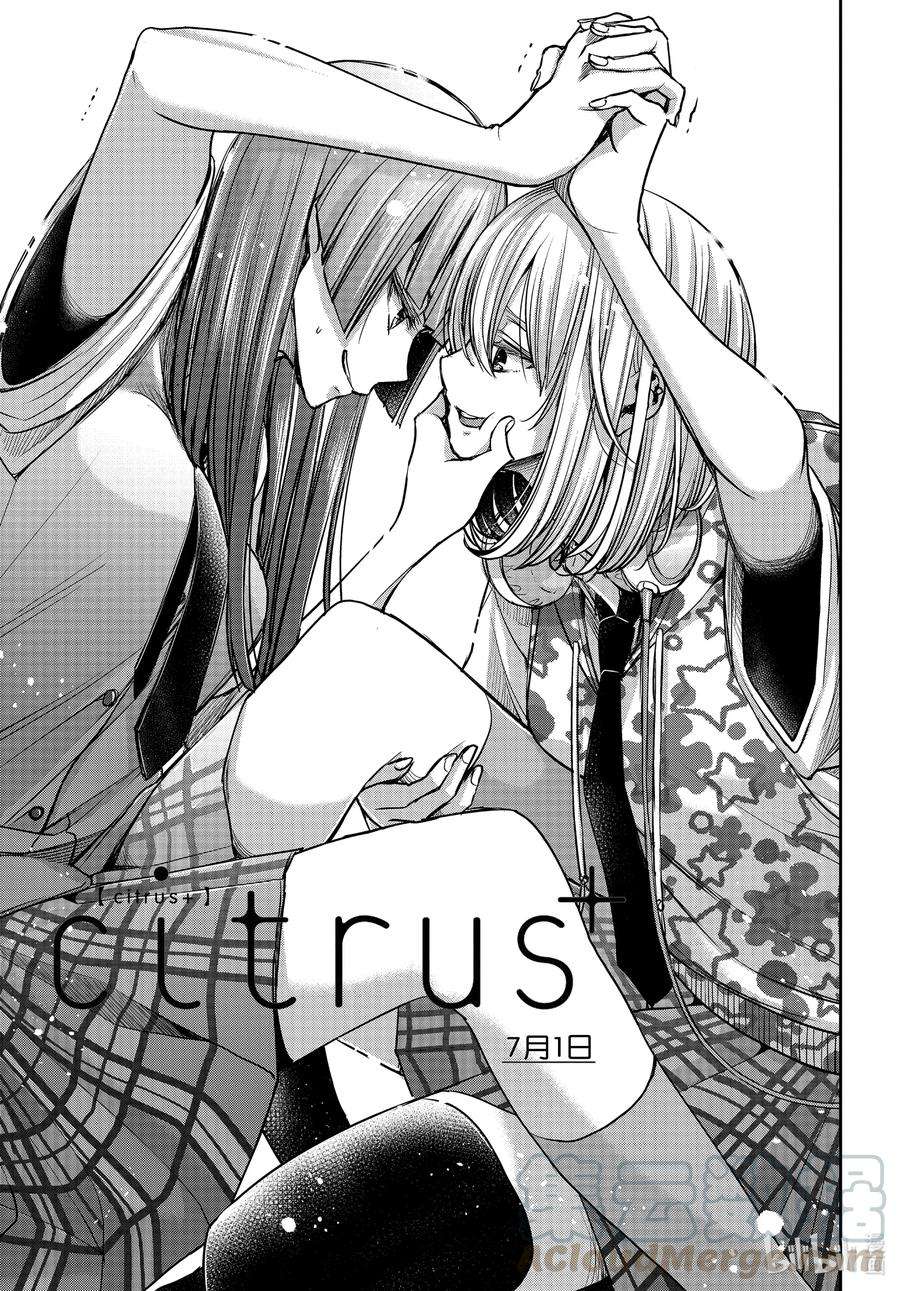 citrus 柑橘味香气Ⅱ-18 7月1日