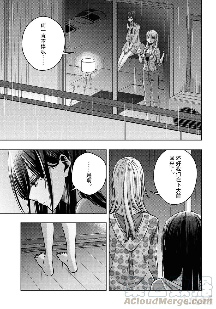 citrus 柑橘味香气Ⅱ-22 7月28日