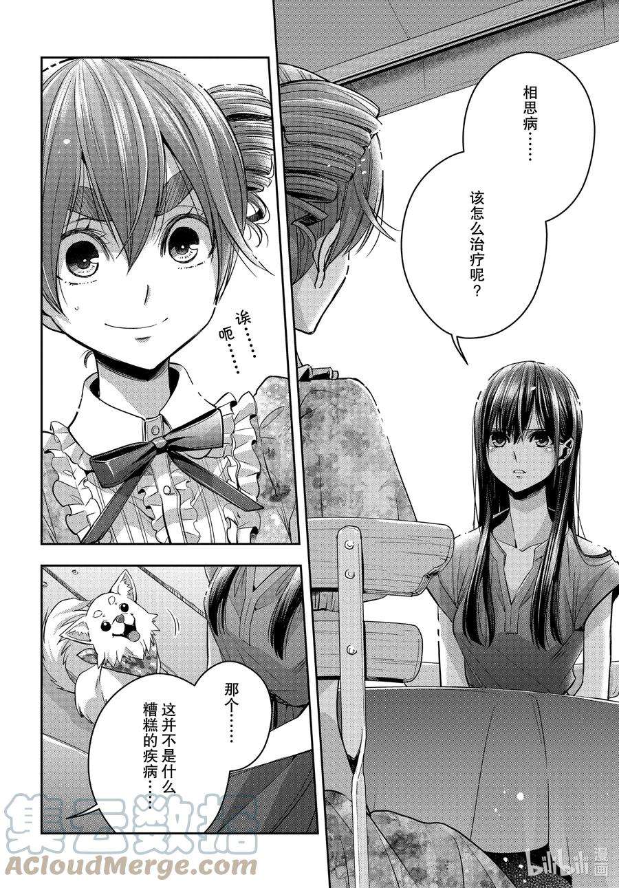 citrus 柑橘味香气Ⅱ-23 8月3日