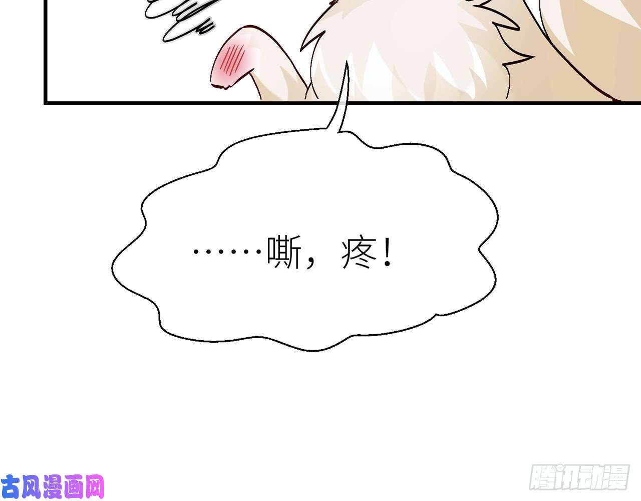 以下犯上好漂亮的小家伙