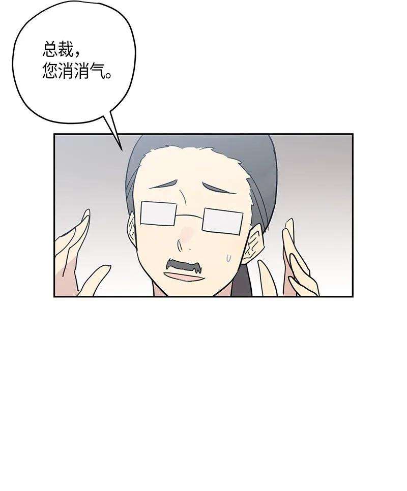 我的叔叔是超级巨星11 新鲜的事情