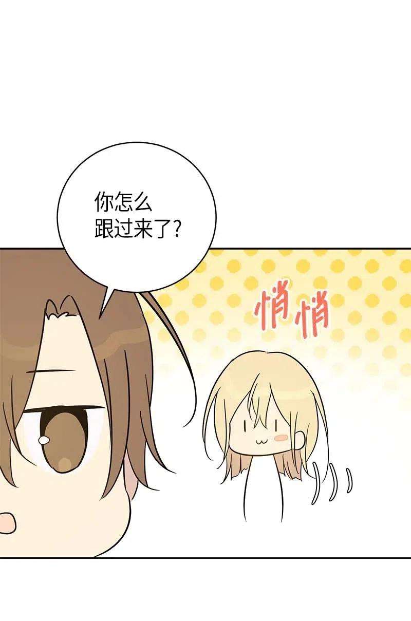 我的叔叔是超级巨星35 爱心大放送