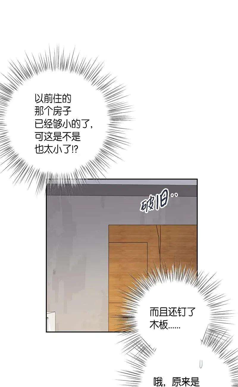 我的叔叔是超级巨星35 爱心大放送