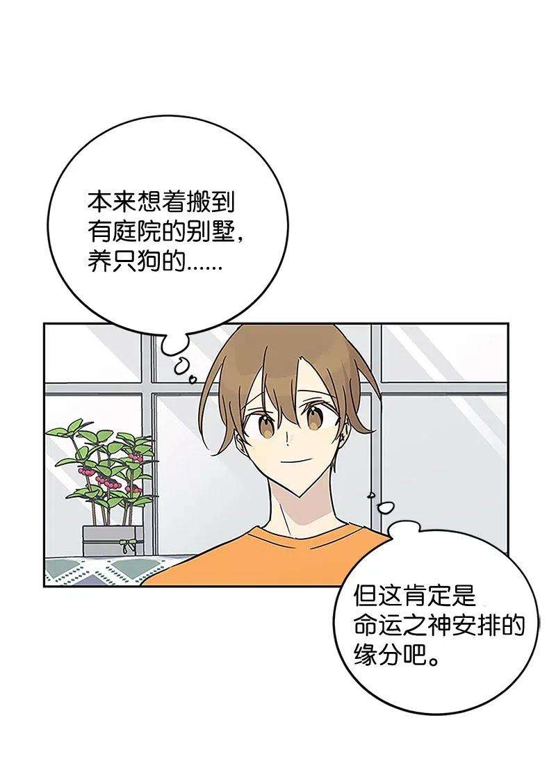 我的叔叔是超级巨星53 赴约
