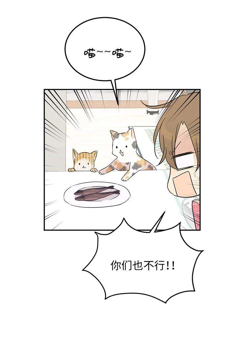 我的叔叔是超级巨星60 解除阴霾