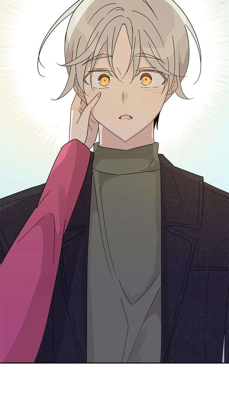 我的叔叔是超级巨星65 谢幕