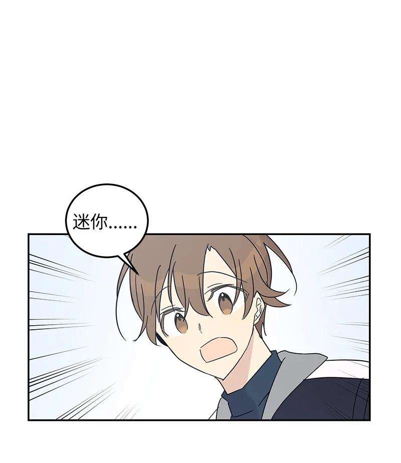 我的叔叔是超级巨星66 新类型