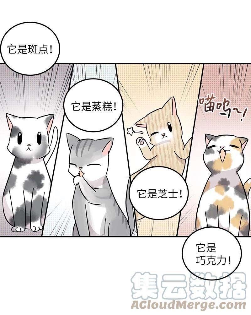 我的叔叔是超级巨星74 开播仪式聚餐