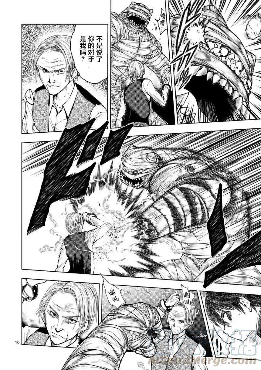 见面5秒开始战斗29 调停者