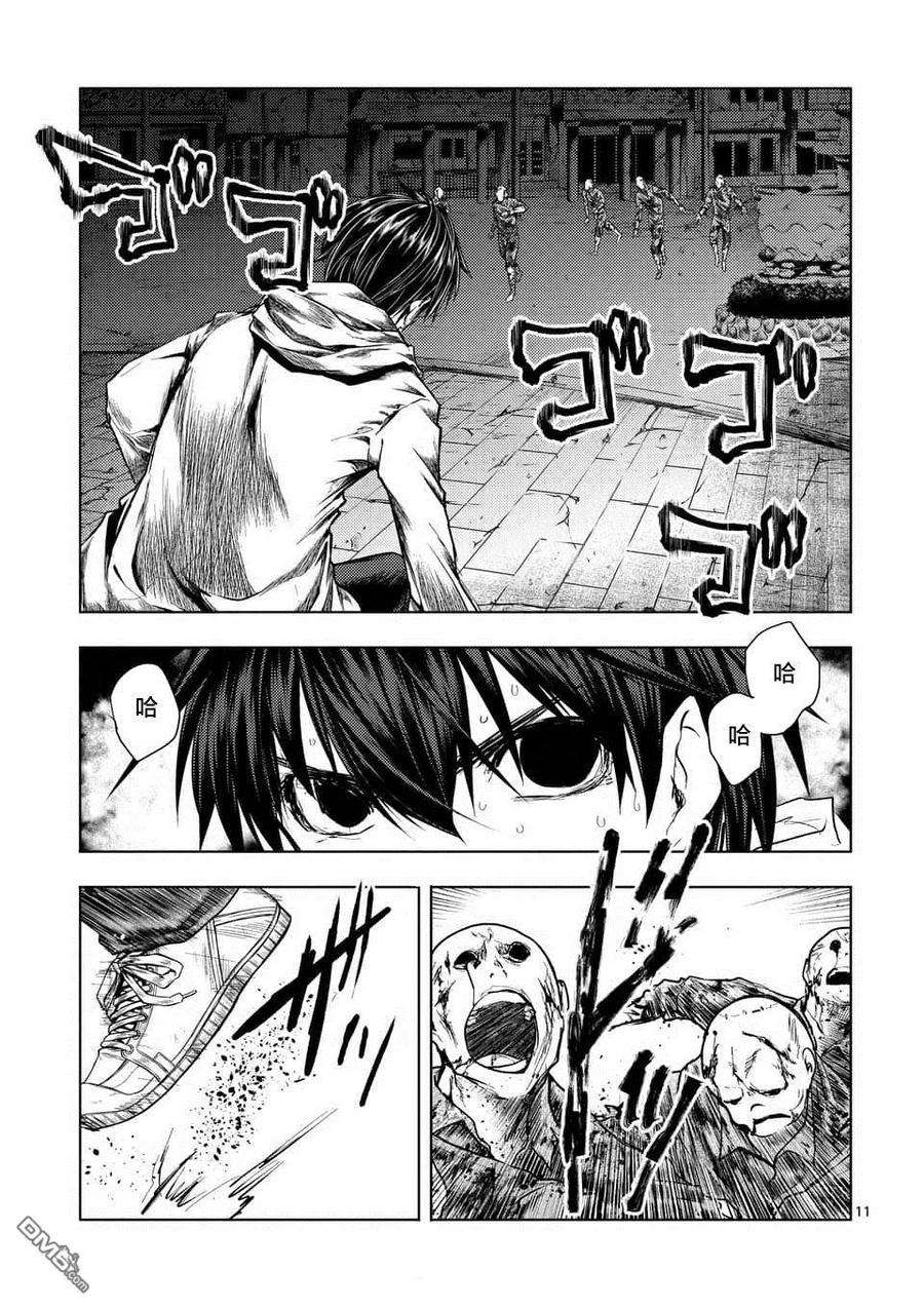 见面5秒开始战斗104 希望乘风