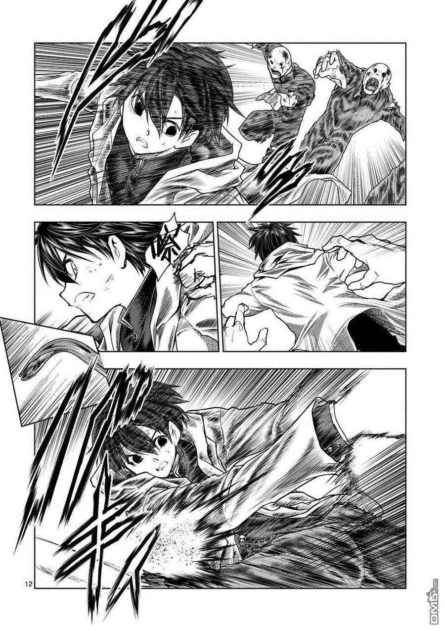 见面5秒开始战斗104 希望乘风