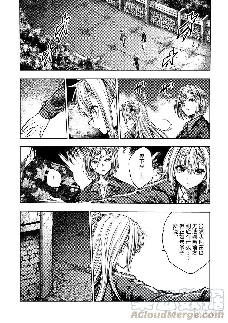 见面5秒开始战斗141 141