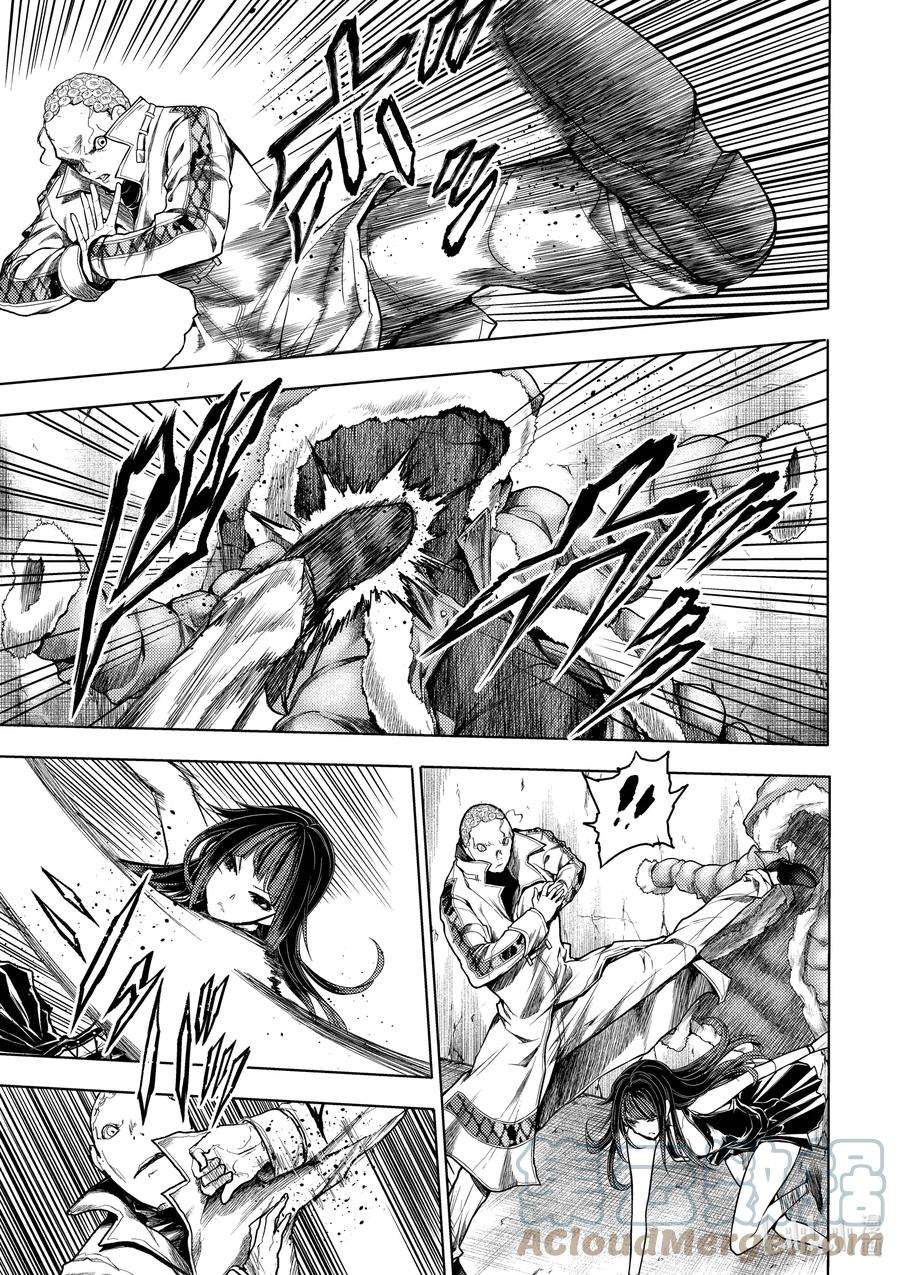 见面5秒开始战斗175 175