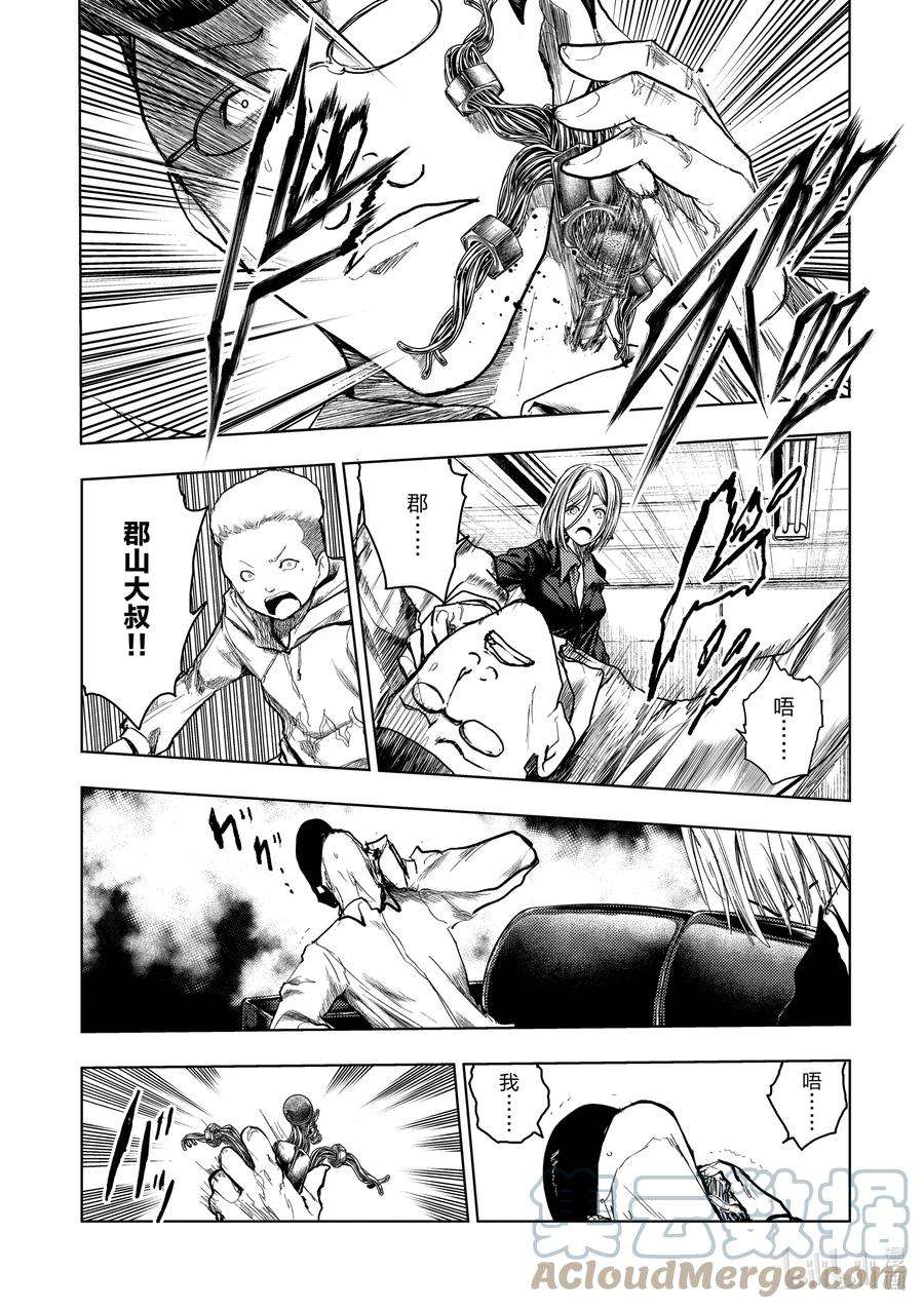 见面5秒开始战斗177 177