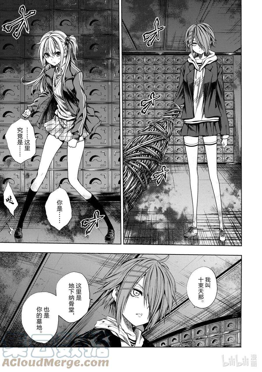 见面5秒开始战斗195 195