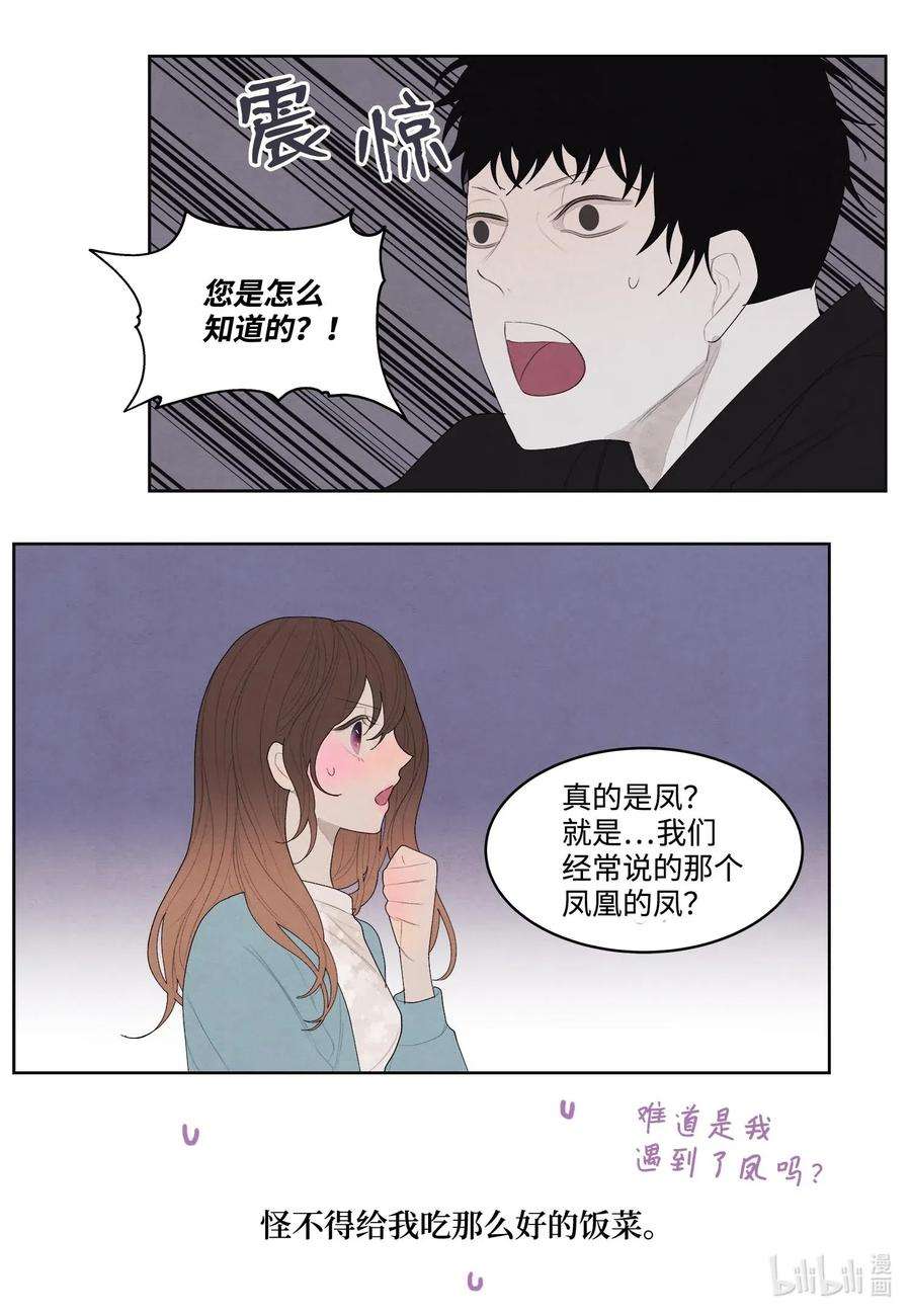 凤凰爱史13 凤与凰