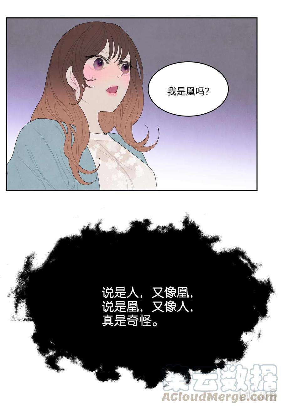 凤凰爱史13 凤与凰