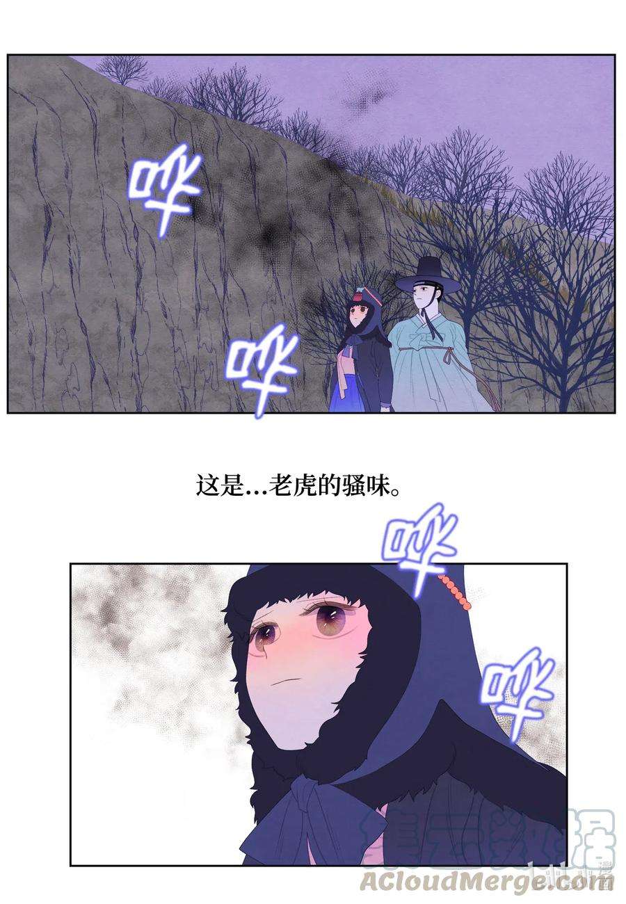 凤凰爱史49 寻找老虎