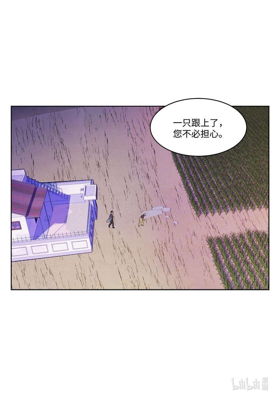 凤凰爱史79 守护灵